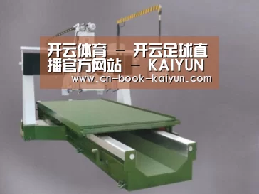产品名称九