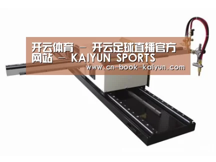 案例展示一